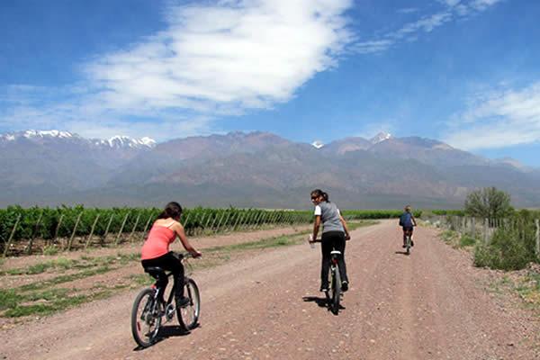 Mendoza Private Wine Bike Tour