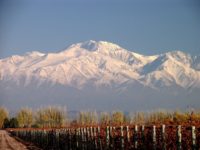 Mendoza 5 Days & 4 Nights Tour