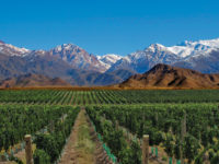 Visit Mendoza!
