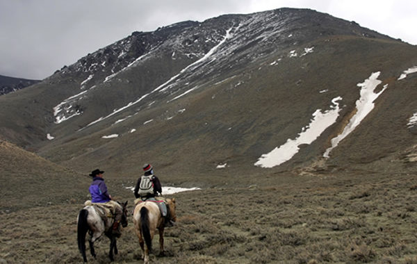 Mendoza Mountain Horse Riding Tour