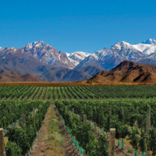 Visit Mendoza!